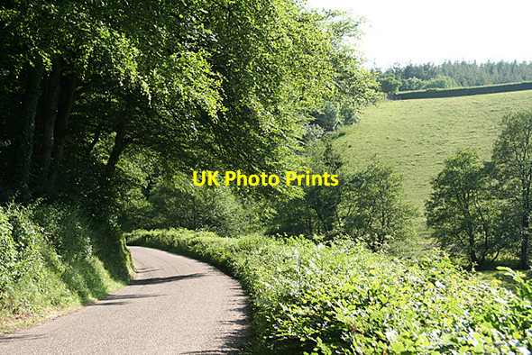 Photo 6"x4" Hockworthy: in the Lowman valley Huntsham c2010