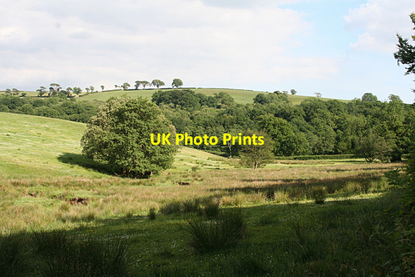 Photo 6"x4" Huntsham: in the Lowman valley Coombe\/ST0017 c2010