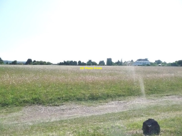 Photo 6"x4" Churston : Grassy Field Galmpton\/SX8956 c2010