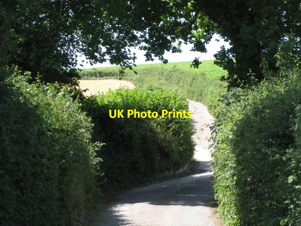 Photo 6"x4" Nearing Neilgate Corner Ashburton c2010