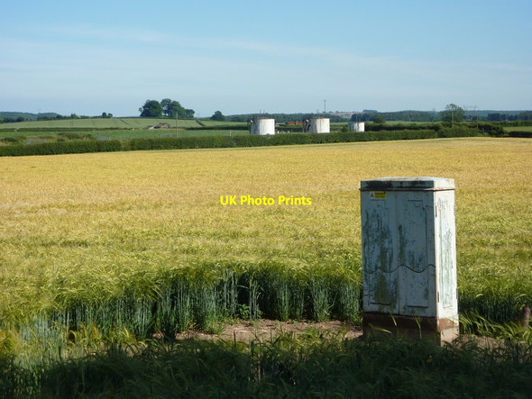 Photo 6"x4" Fields between Normanton Hill and Bothamsall Bothamsall c2010