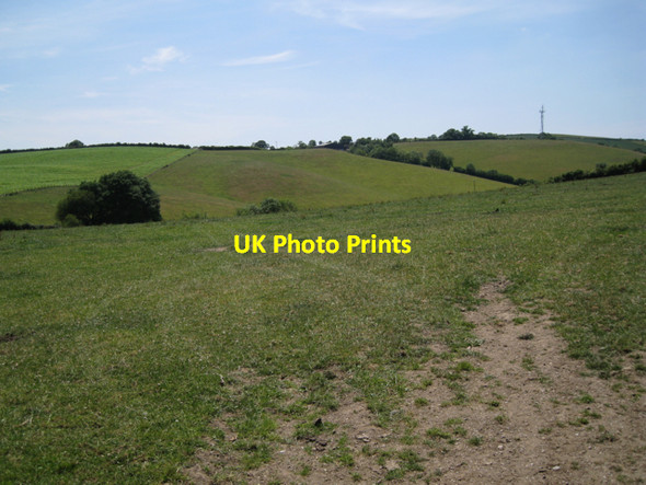 Photo 6"x4" Recently-mown meadow Ashburton c2010