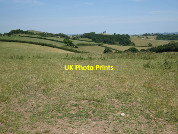 Photo 6"x4" Grassland with nettles and thistles Ashburton c2010