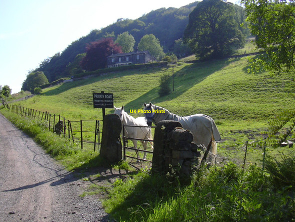 Photo 6"x4" Mulcture Hall, Eastwood Hebden Bridge c2010