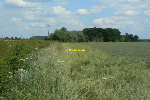 Photo 6"x4" Uncultivated headland Bradmore\/SK5831 c2010