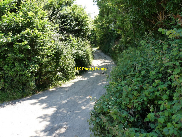 Photo 6"x4" Mill Lane which leads to Milkaway Lane Croyde c2010