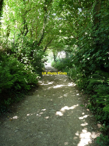 Photo 6"x4" Mill Lane shortly before it joins Milkaway Lane Croyde c2010