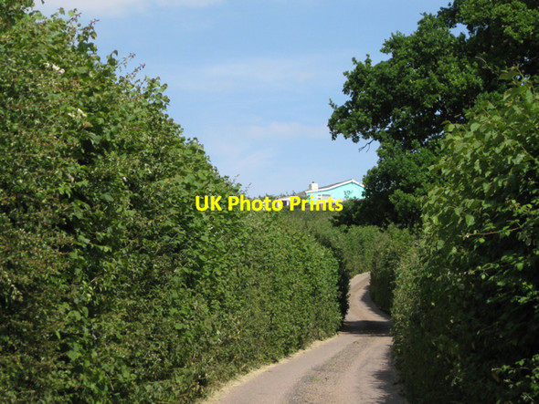 Photo 6"x4" Going east up Pitley Road Ashburton c2010