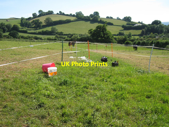 Photo 6"x4" Electric fences forming paddocks Ashburton c2010