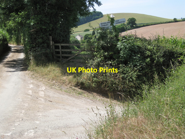 Photo 6"x4" Lake Cross Ashburton c2010