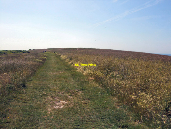Photo 6"x4" Beacon Hill nature reserve Ovingdean c2010