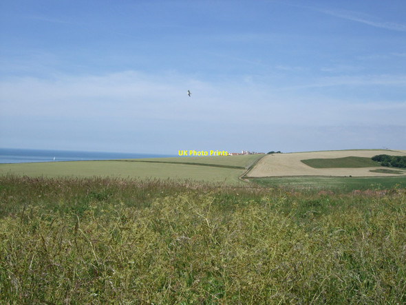 Photo 6"x4" Beacon Hill Ovingdean c2010