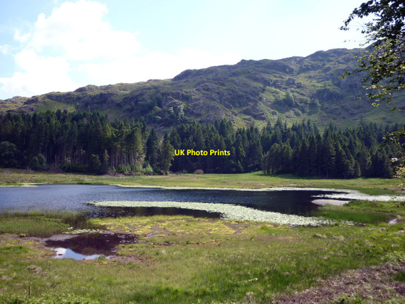 Photo 6"x4" Harrop Tarn from the Watendlath bridleway Dob Gill c2010