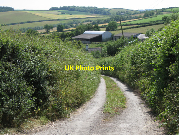 Photo 6"x4" Track to Dipwell Ashburton c2010