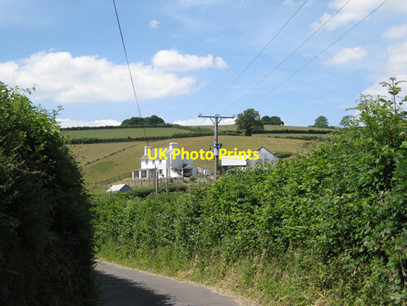 Photo 6"x4" Tor Farm Ashburton c2010