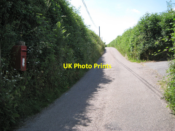 Photo 6"x4" Long lane up to Whistley Hill Cross Ashburton c2010
