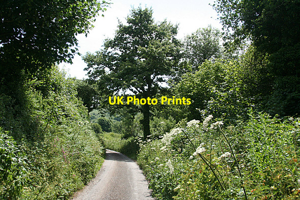 Photo 6"x4" Stokenham: lane to Lannacombe beach Bickerton\/SX8138 c2010
