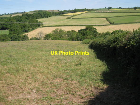 Photo 6"x4" Field west of Woodland Wotton Cross\/SX8069 c2010