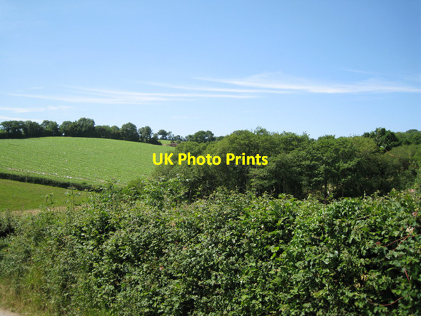 Photo 6"x4" Valley south of Hole Wotton Cross\/SX8069 c2010