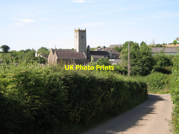 Photo 6"x4" Woodland from the north Wotton Cross\/SX8069 c2010
