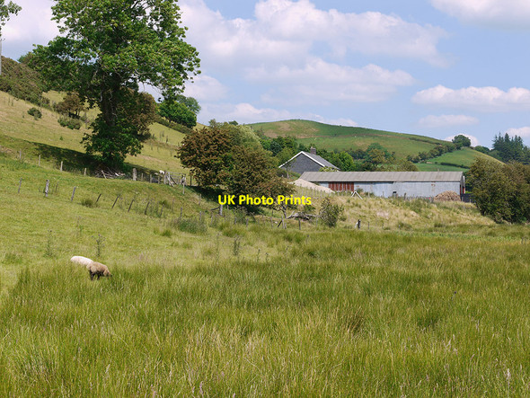 Photo 6"x4" Field by Tan-y-llwyn Llangurig c2010