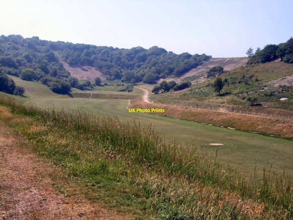 Photo 6"x4" Wild Park Brighton\/TQ3106 c2010