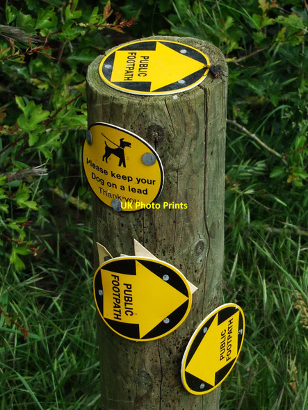 Photo 6"x4" Public Footpath Southolt c2009