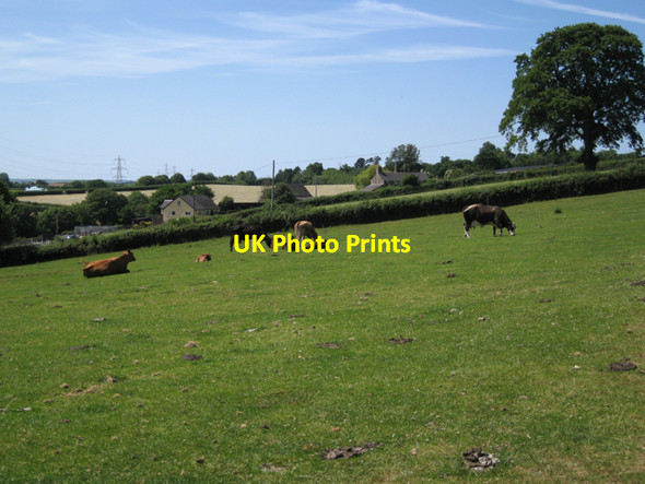 Photo 6"x4" West Down from East Down Wotton Cross\/SX8069 c2010