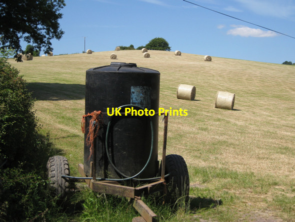Photo 6"x4" Field with cylindrical objects, East Down Wotton Cross\/SX8069 c2010