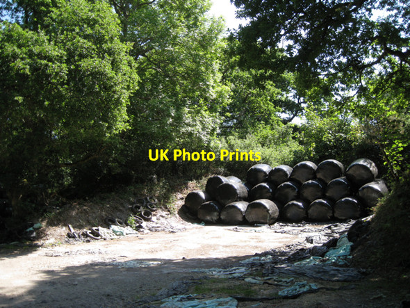 Photo 6"x4" Corner of a copse, East Down Wotton Cross\/SX8069 c2010