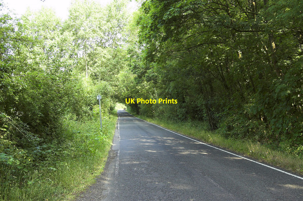 Photo 6"x4" Ripley Road, West Clandon (2) West Clandon c2010
