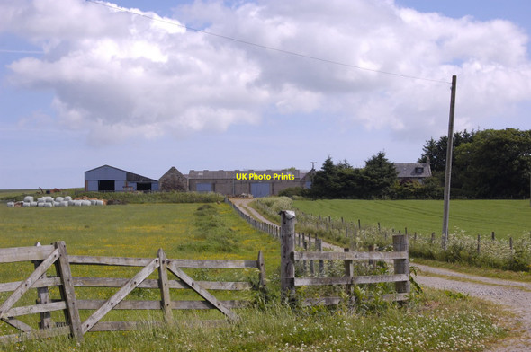 Photo 6"x4" Backwaird Farm Sittyton c2010