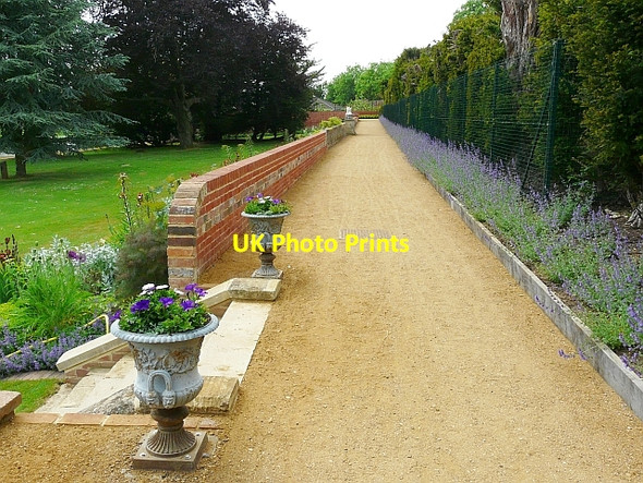 Photo 6"x4" The Long Walk, Caversham Court Reading c2010