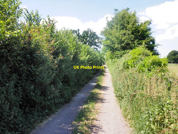 Photo 6"x4" Track to Parks Farm Crediton c2010