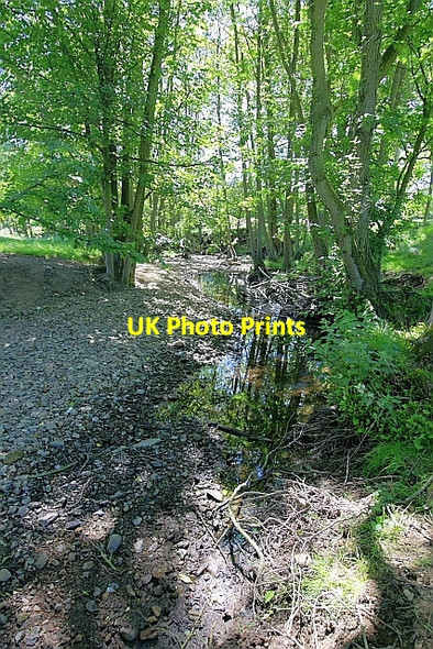 Photo 6"x4" River Riccal Pockley c2010