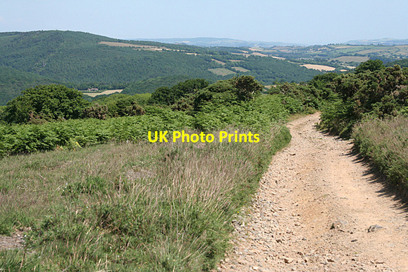 Photo 6"x4" Holne: bridleway to Fore Stoke Middle Stoke\/SX6970 c2010