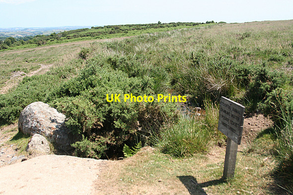 Photo 6"x4" Holne: Hamlyn's Leat Holne c2010