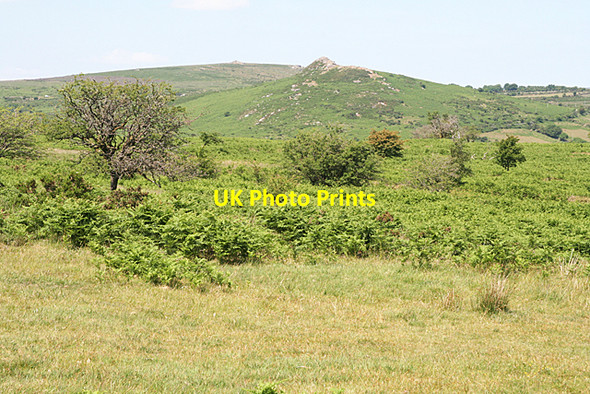 Photo 6"x4" Holne: towards Sharp Tor West Stoke\/SX6971 c2010