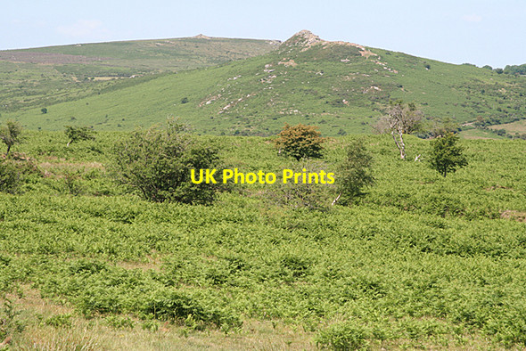 Photo 6"x4" Widecombe in the Moor: Sharp Tor from the south Dartmeet c2010