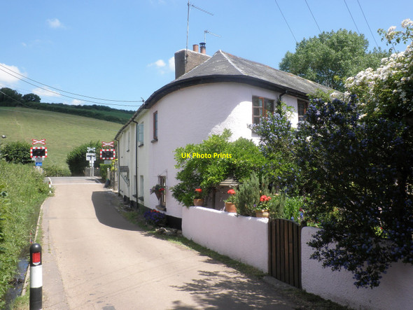 Photo 6"x4" Cottages, at Salmonhutch Crediton c2010