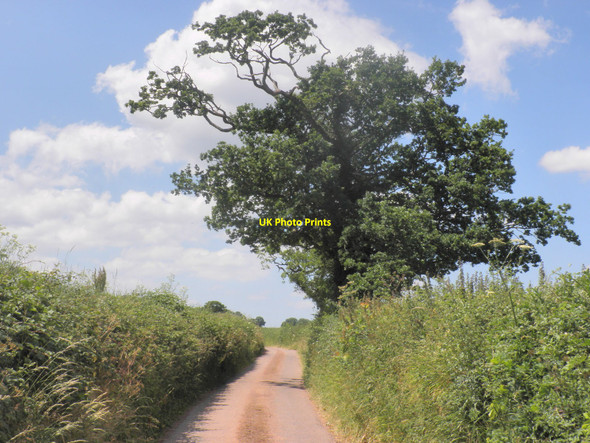 Photo 6"x4" Minor road, forming part of Devonshire Heartland Way Crediton c2010