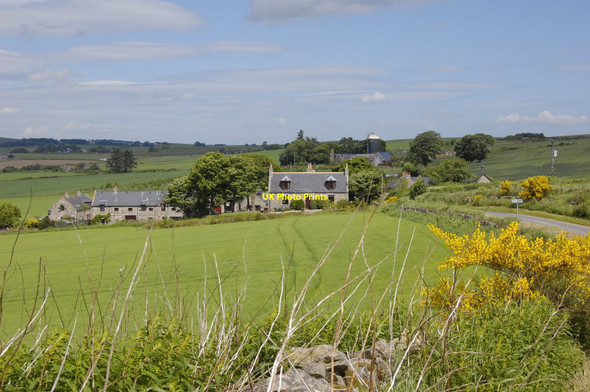 Photo 6"x4" Wester Blair Farm Sittyton c2010