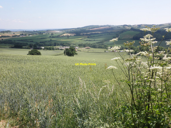 Photo 6"x4" View towards Court Barton Venny Tedburn c2010