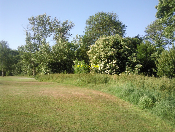 Photo 6"x4" Bursted Wood Erith c2010