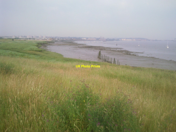 Photo 6"x4" Saltings at Crayford Ness Coldharbour\/TQ5278 c2010