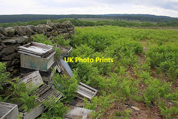 Photo 6"x4" Ruined Beehives, Jugger Howe Moor Harwood Dale c2010