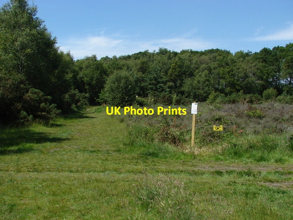 Photo 6"x4" Bisley Common Lucas Green\/SU9459 c2010
