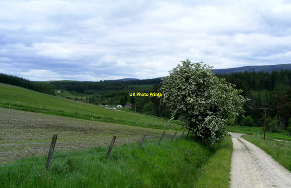 Photo 6"x4" The track from Mullochard Shenval\/NJ2129 c2010