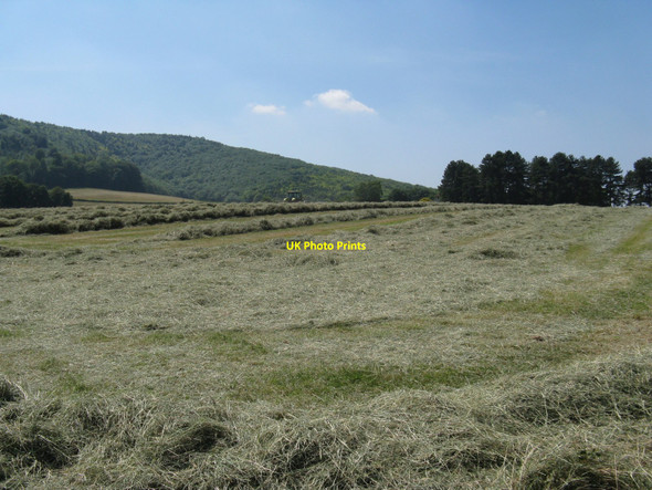 Photo 6"x4" Haymaking at Woodcote Farm Graffham c2010