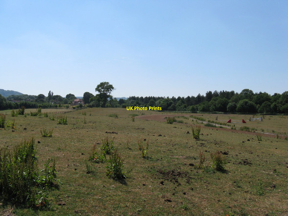 Photo 6"x4" Gallops near Hoyle Farm Topleigh c2010
